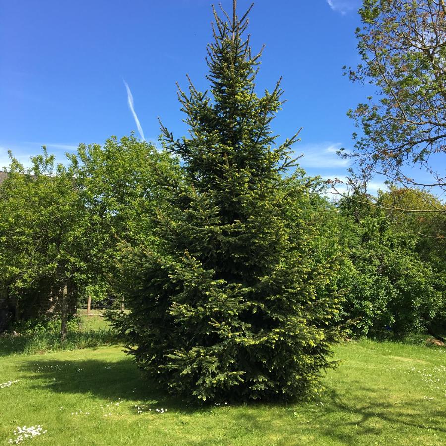 Lieu Le Jardin Holiday home Saint-Lambert (Calvados)